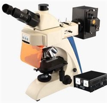 BK-FLϵ��ӫ����΢��